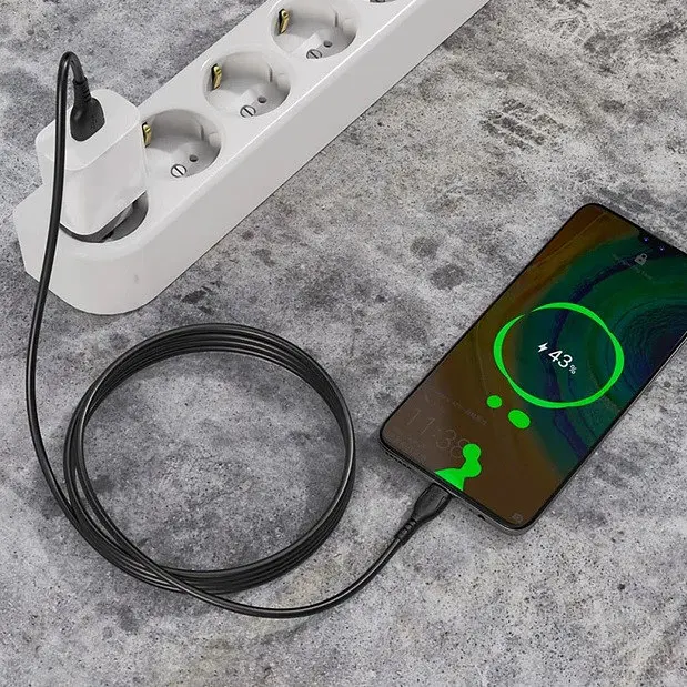 Кабель заряджання Borofone BX51 Triumph USB to Type-C 1м Чорний - фото 3