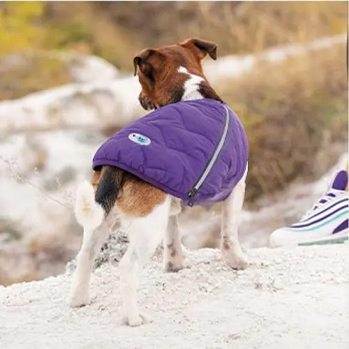 Жилет Pet Fashion E.Vest для собак, розмір XS, фіолетовий - фото 5
