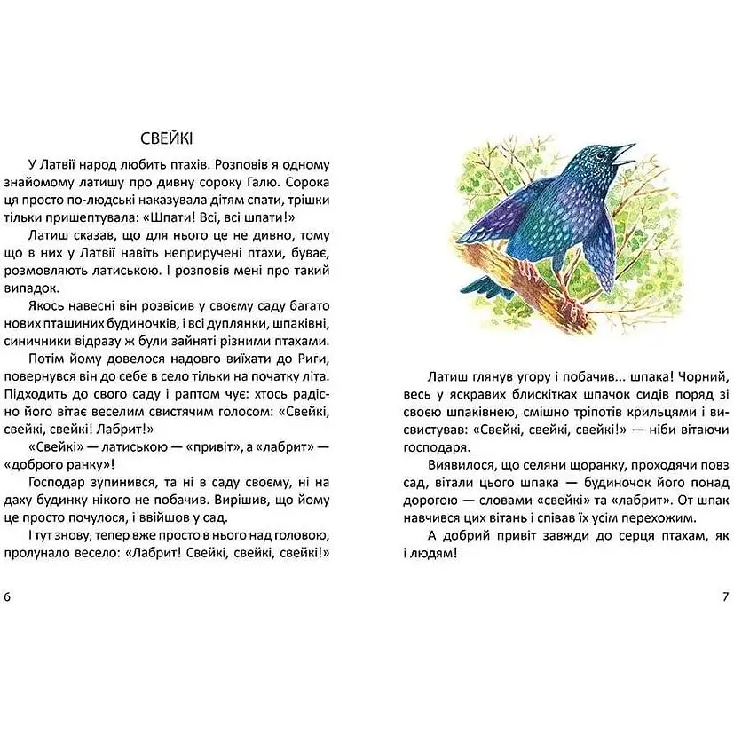 Дитяча книга Талант Завтра до школи Малятам про звірят - Борзова В. В. (9789669352453) - фото 7