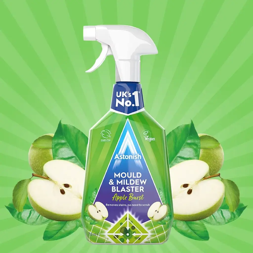 Средство для удаления плесени Astonish Mould & Mildew Remover 750 мл - фото 2