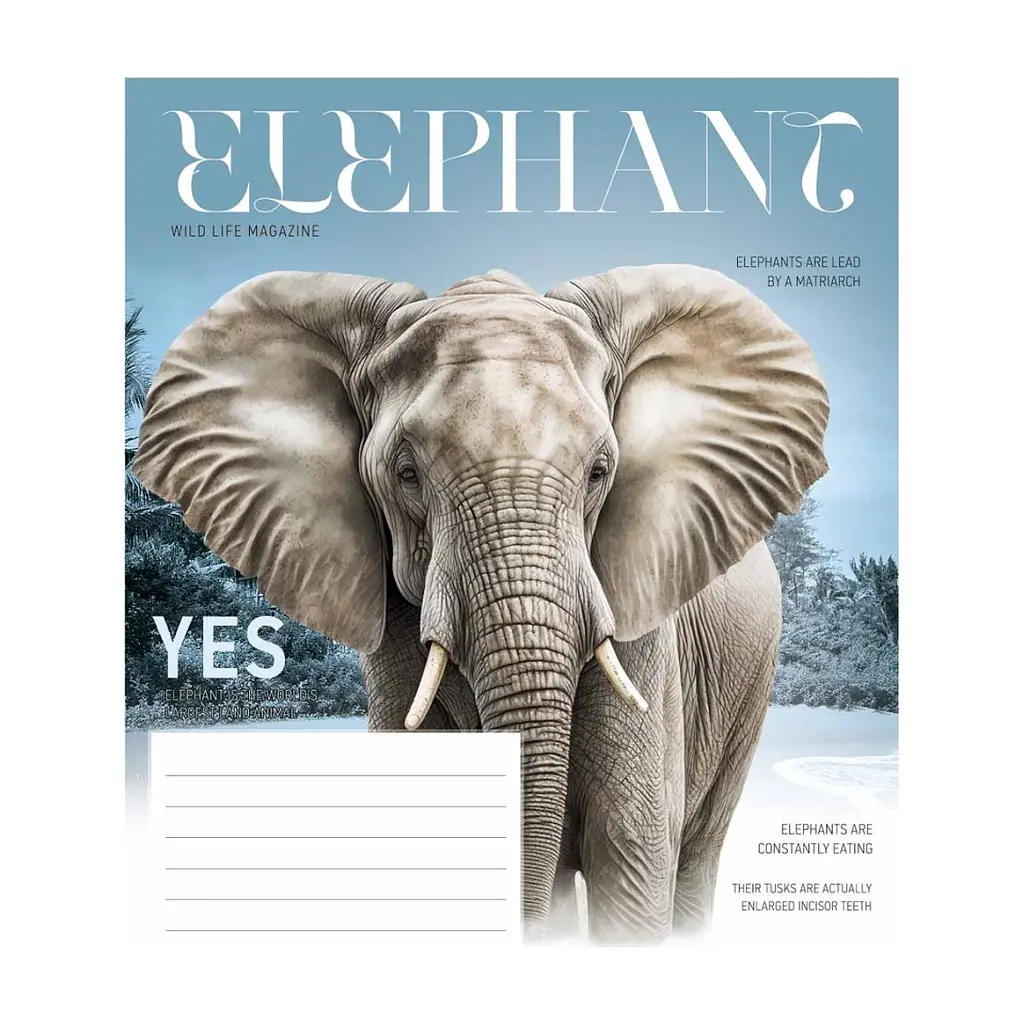 Зошит Школярик Fauna magazine 12 аркушів клітинка (012-3428K), в асортименті - фото 3