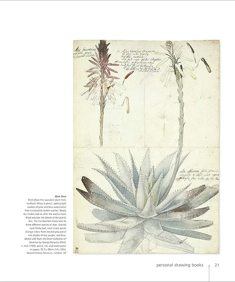 Botany for the Artist - Сара Сімблет - фото 5