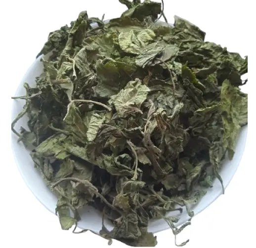 Бузина чорна Листя Бозяк Буз Самбук Бездерево Sambucus nigra - фото 2