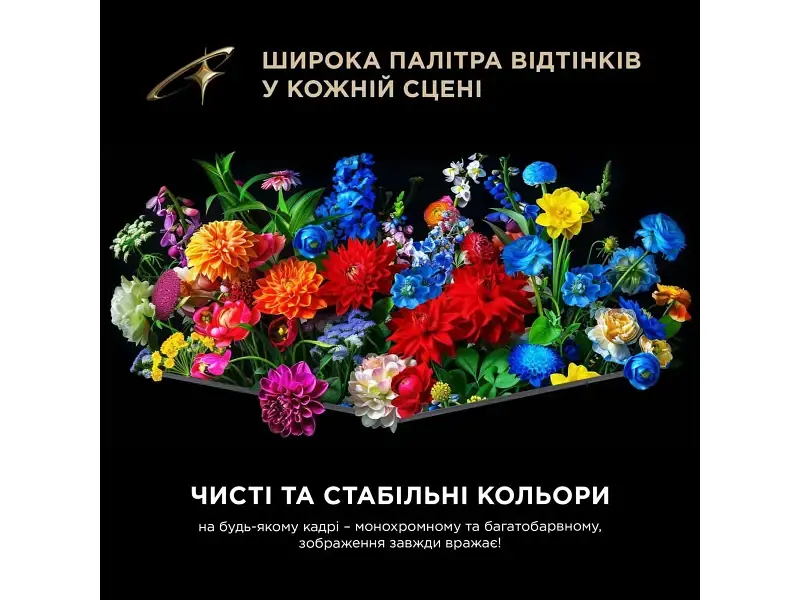 Телевізор TCL 65C8L - фото 8