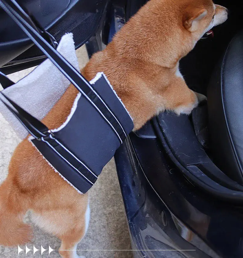 Підтримуюча шлейка для собак Harness Helps, нагрудна/для стегон L - фото 4