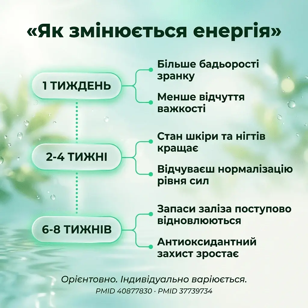 Спіруліна у порошку 100 г - фото 7