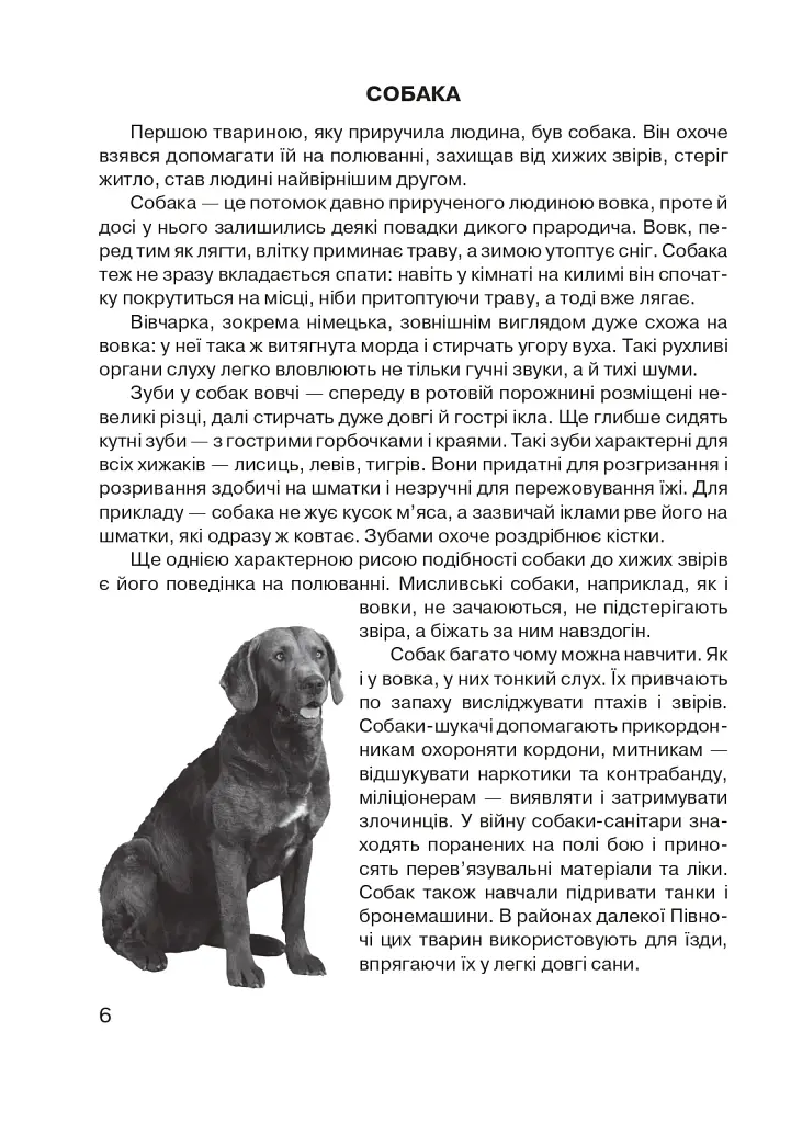 Царство свійських тварин - фото 7