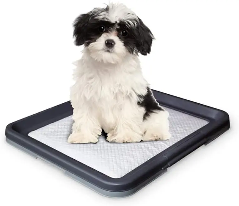 Туалет для собак Nobby Doggy Trainer 48х41х3,5 см 67150