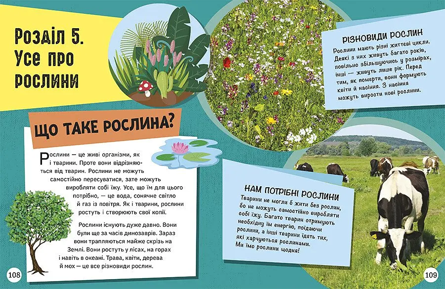 Енциклопедія юних розумників Ранок Допитливим сюди. ДОВКОЛАПИТАНЬ - Ненсі Дікман (НЕ1745007У) - фото 10