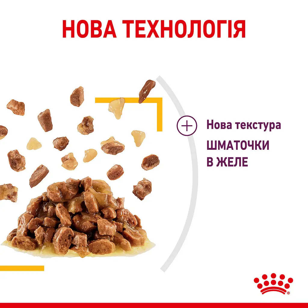 Уцінка. Набір вологого корму для дорослих котів Royal Canin Sensory Smell Jellyшматочки в желе 1.02 кг (12 шт. х 85 г) - фото 4