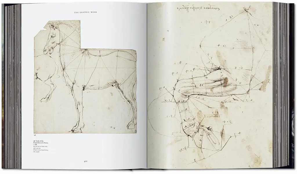 Leonardo. The Complete Paintings and Drawings - фото 14