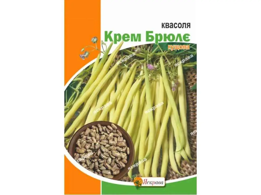 Квасоля ЯСКРАВА Крем Брюле максі (10 пачок) 20г