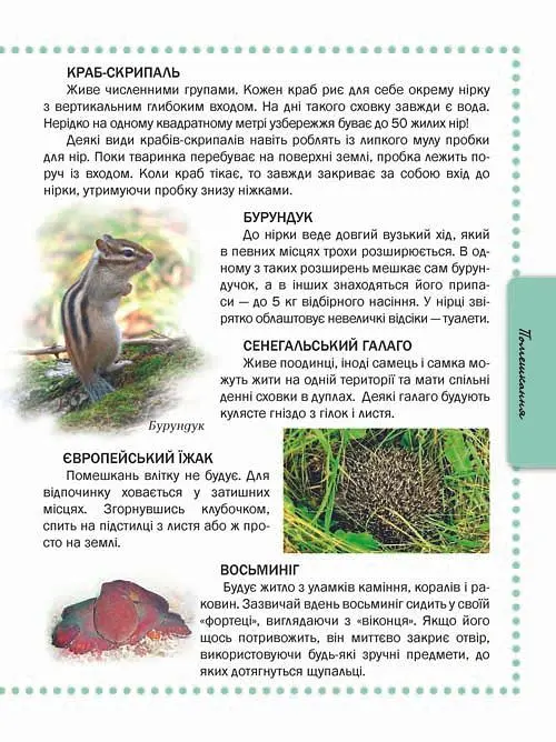 Тварини. Енциклопедія - Тетяна Жабська - фото 3