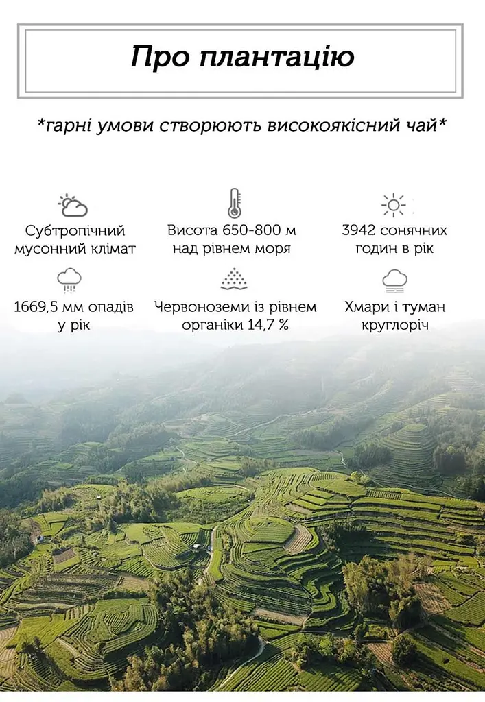 Чай Newtea Бай Му Дань Лі Да Насамперед Людяність 2022 р. - 350 г - фото 4