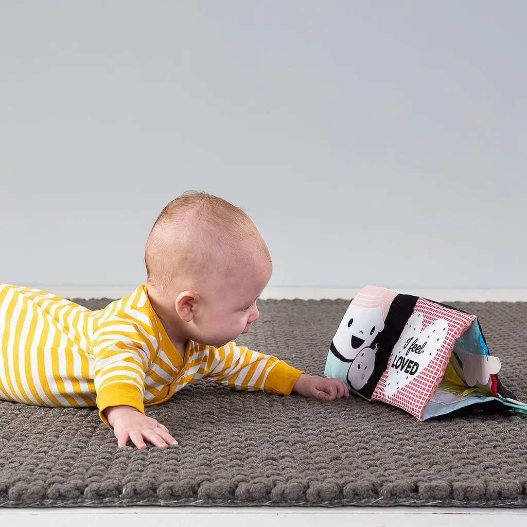 Развивающая игрушка-раскладушка Taf Toys Мои эмоции (12545) - фото 11