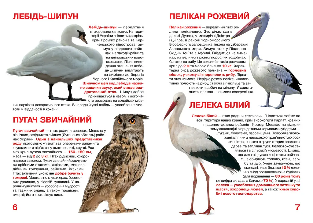 Велика книга Кристал Бук Тваринний світ України (F00012690) - фото 3