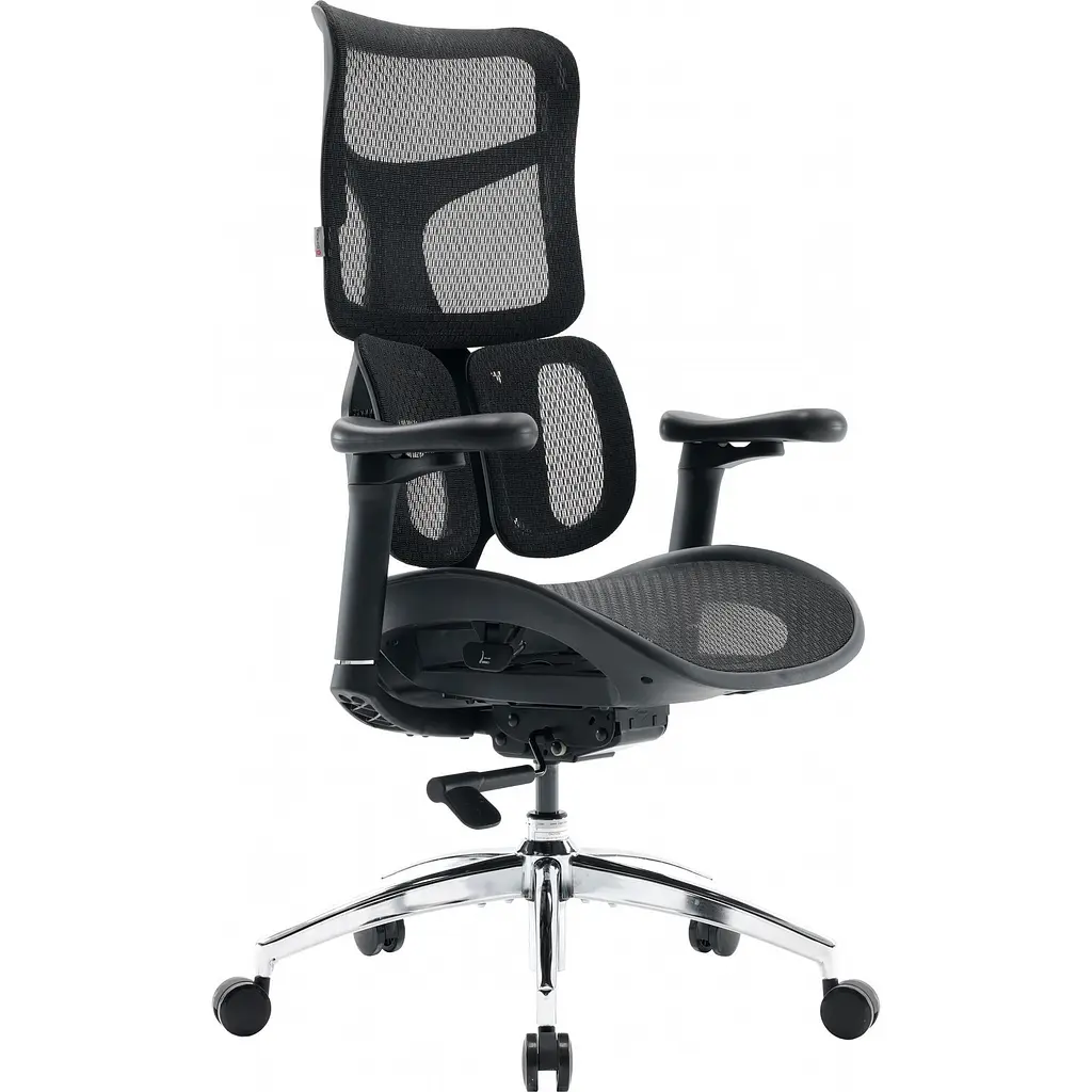 Офисное кресло Sihoo DORO S100 Mesh Black [S100-M301] [148688] - фото 2