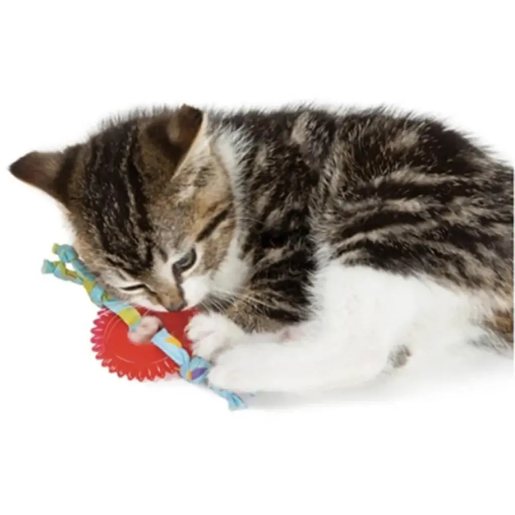 Іграшка для котів Petstages Колесо Kitty Chew Wheel - фото 2