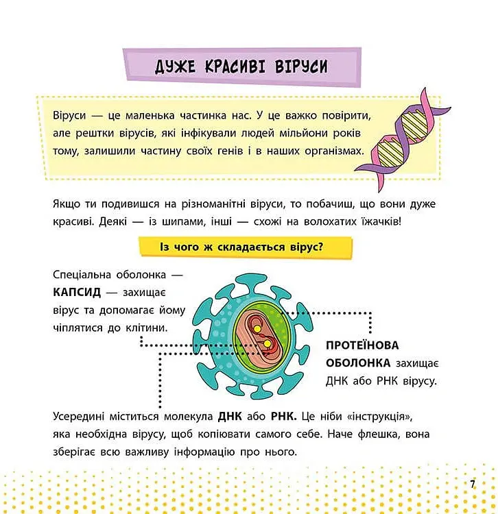 Просто про науку. Ці неймовірні віруси - Наталія Бушковська - фото 2