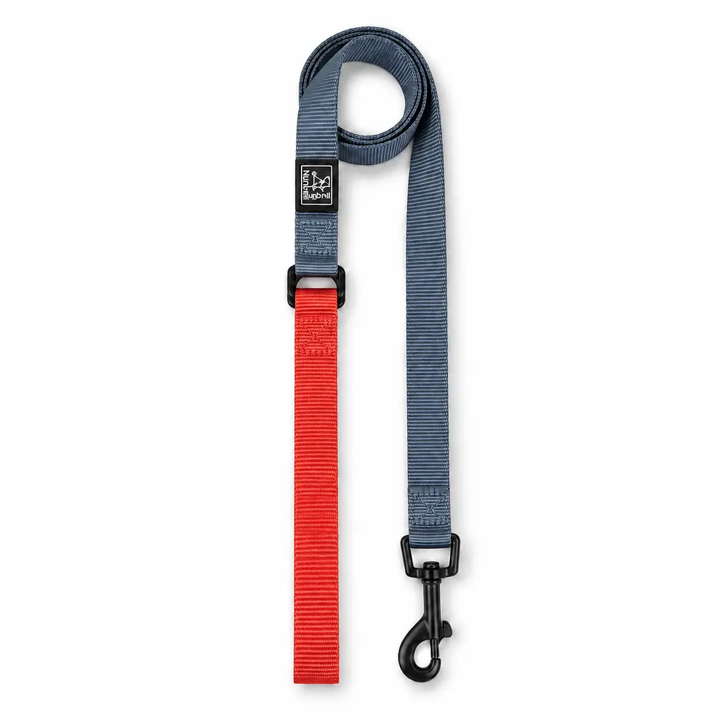 Шлея для собак Nunbell Y-Shape з повідцем, регульована та світловідбивна L, Сірий - фото 2