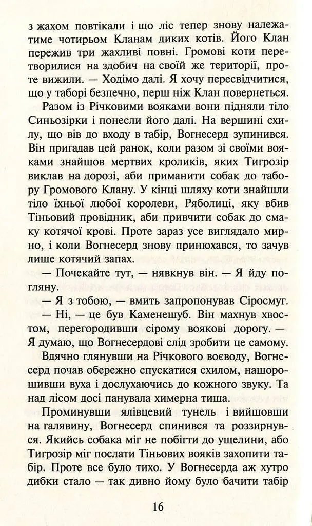 Коти-Вояки. Темні часи - фото 9
