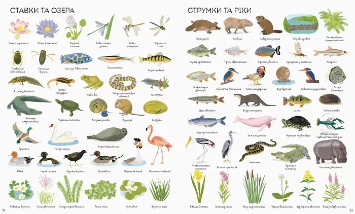 1000 назв природи - фото 3