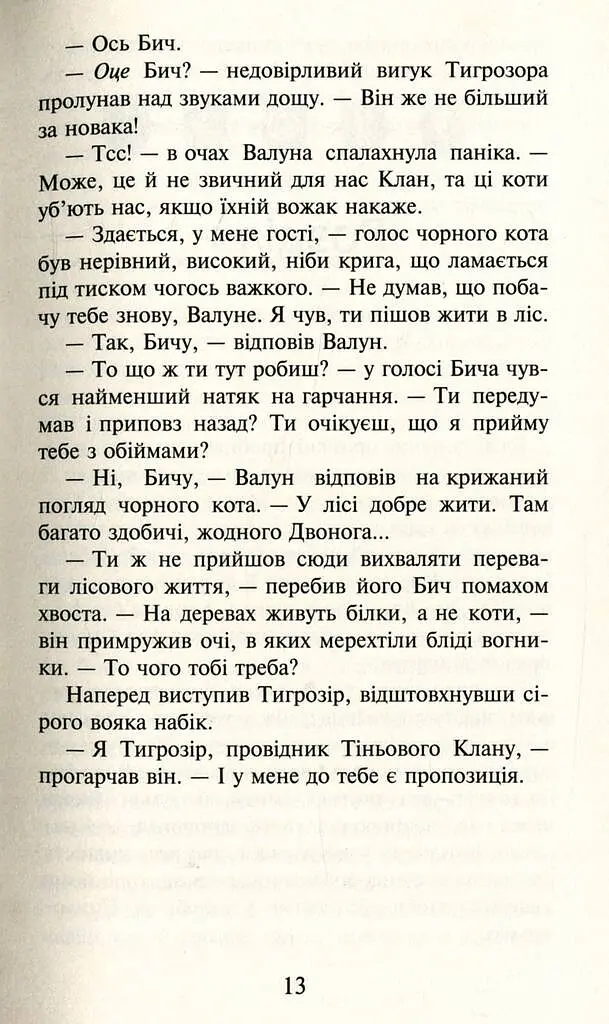 Коти-Вояки. Темні часи - фото 6
