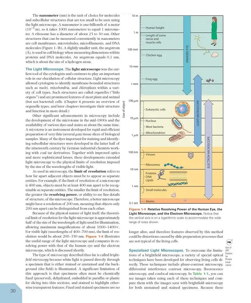 Becker's World of the Cell. 9th Global Edition - фото 7