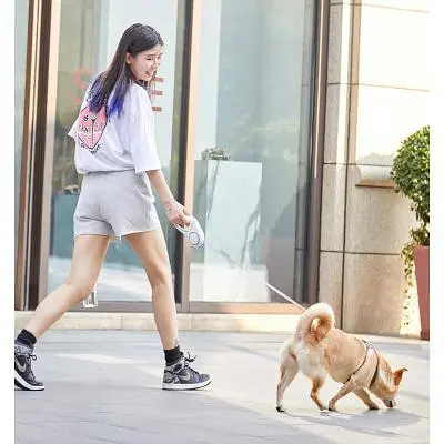 Повідець для собак Petkit Travel GO SHINE Pet Leash 3 m (P2101) - фото 2