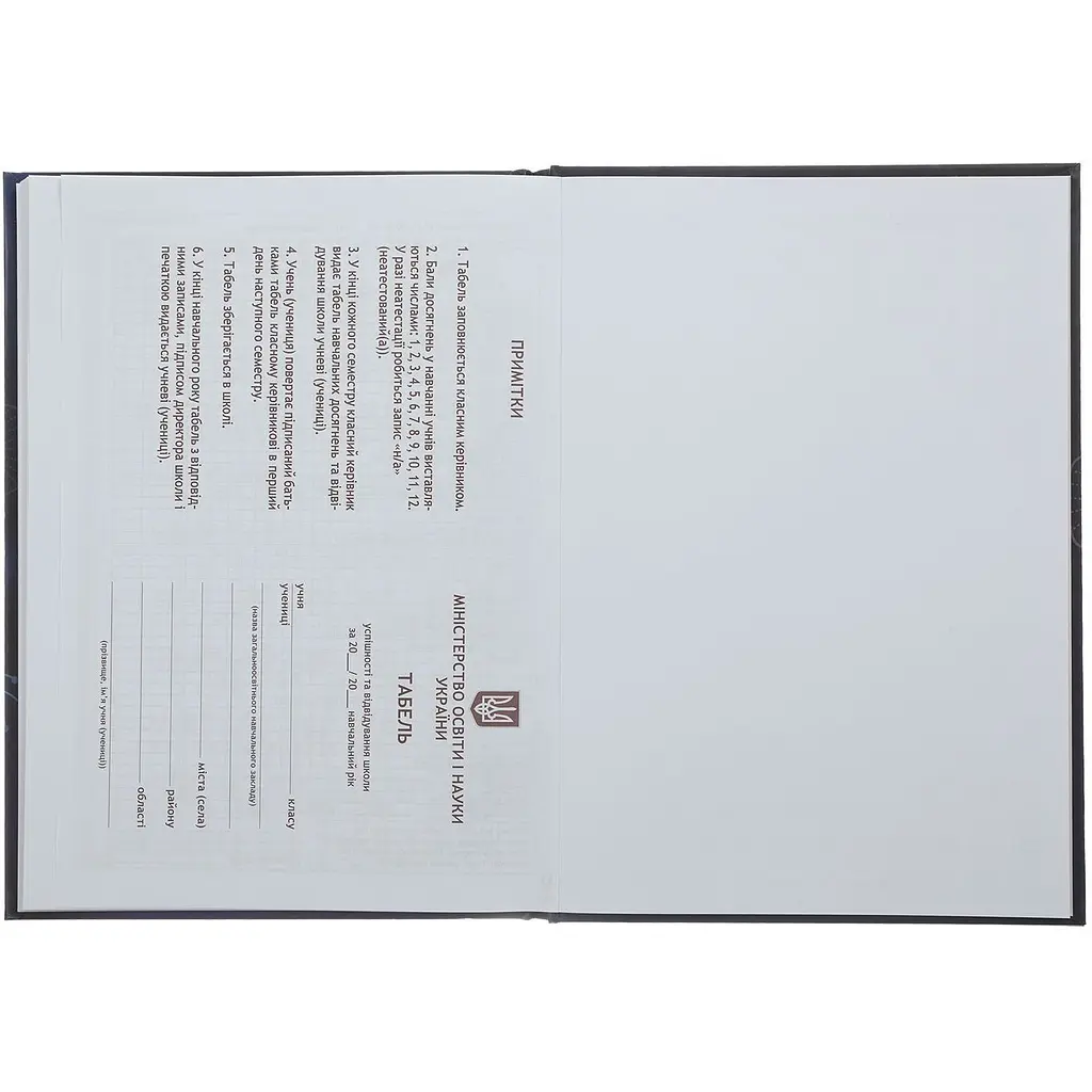 Щоденник шкільний В5 ZiBi Команда Kids Line (ZB.13820) - фото 8