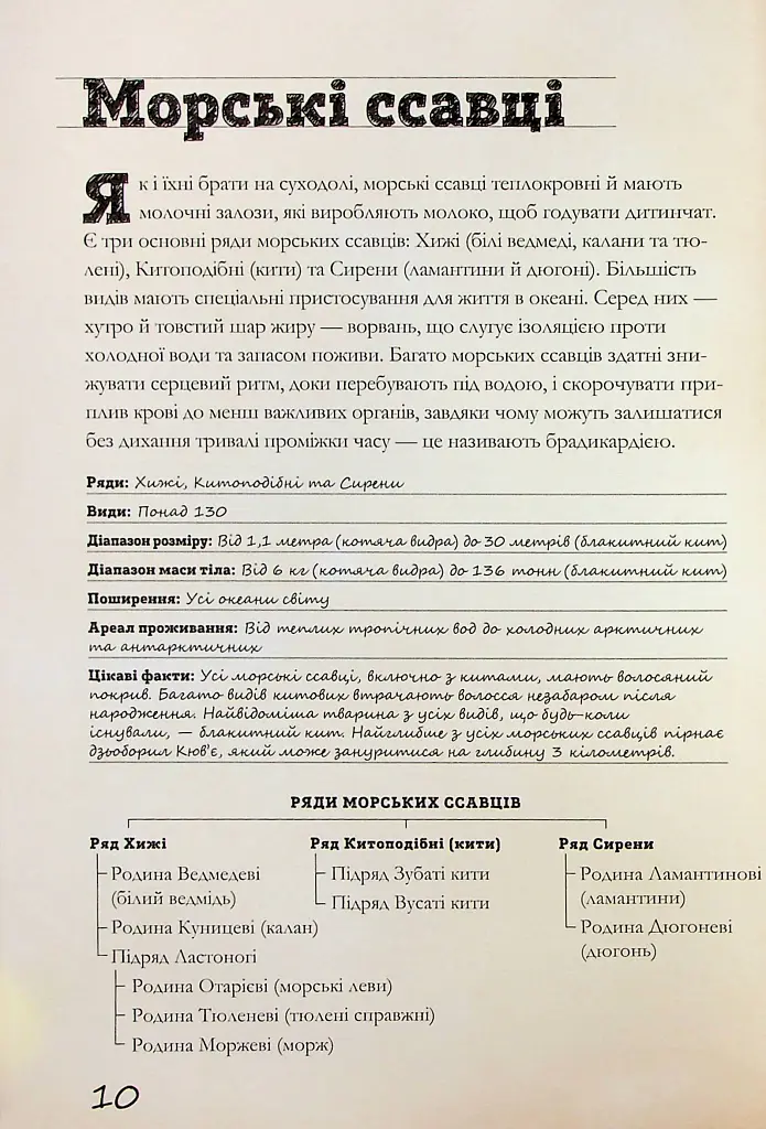 Морські тварини світу. Нотатки, малюнки та спостереження про тварин, що живуть в океані - Хуан Карлос Алонсо - фото 11