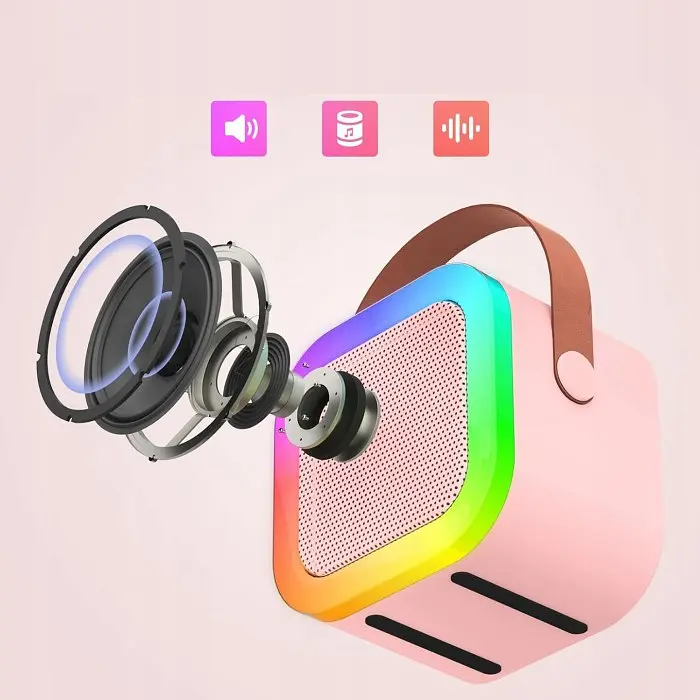Бездротова колонка та 2 караоке мікрофона та RGB підсвічуванням Winso K12 10W Bluetooth - фото 2