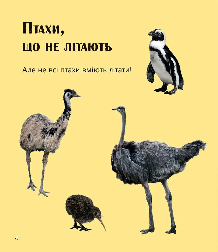 Перше читання Non Fiction Ранок Великі тварини і не тільки... Рівень 1 - Роб Олкрафт (С850001У) - фото 6