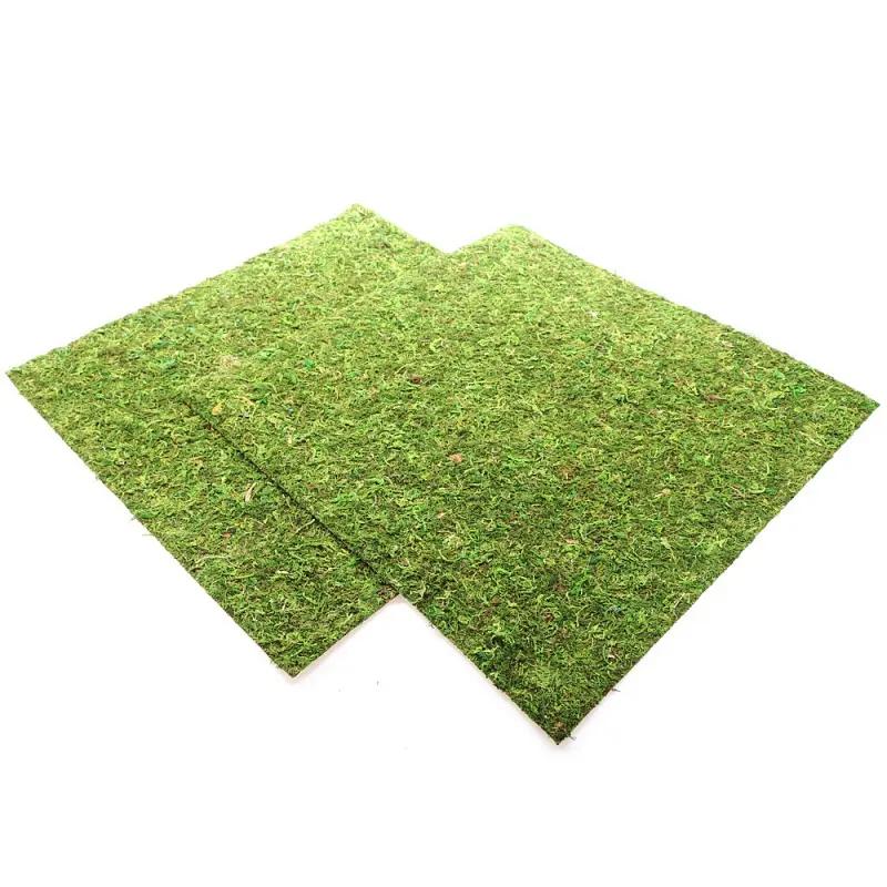Фон з натурального моху Repti-Zoo Natural Moss Back & Bottom 45x45см 2 шт (NCM4545) для тераріуму - фото 3