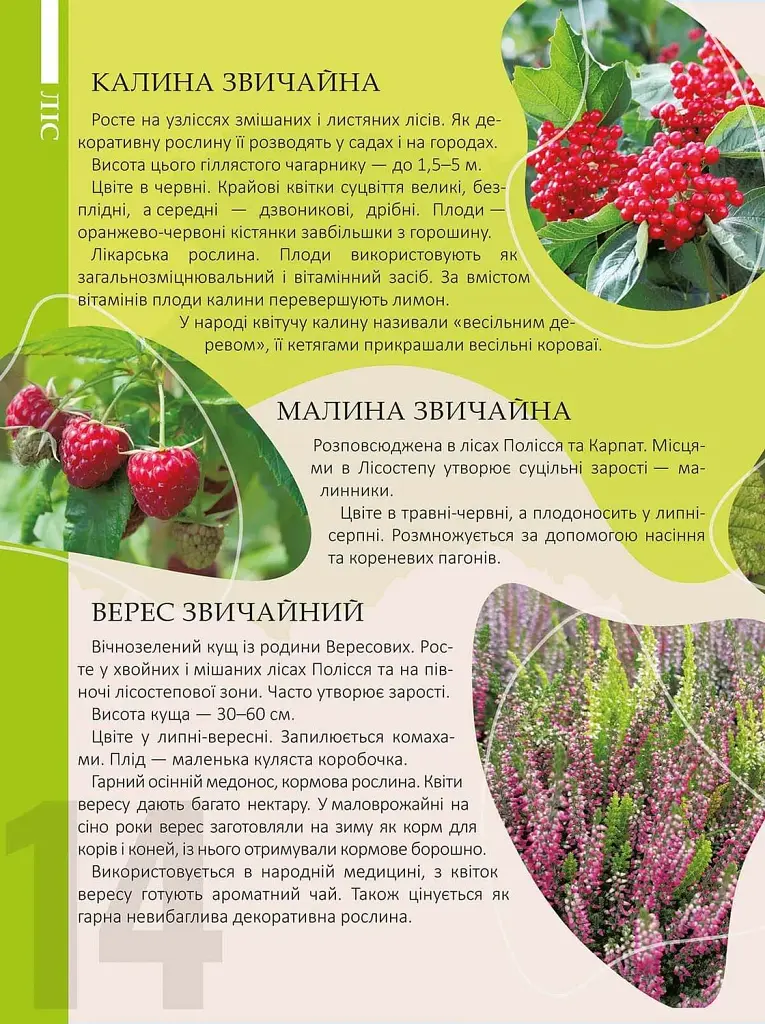 Перлини природи України - фото 2