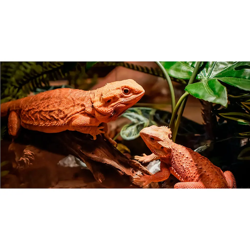 3D-принтер Anycubic Photon Mono M5s [117657] - фото 7
