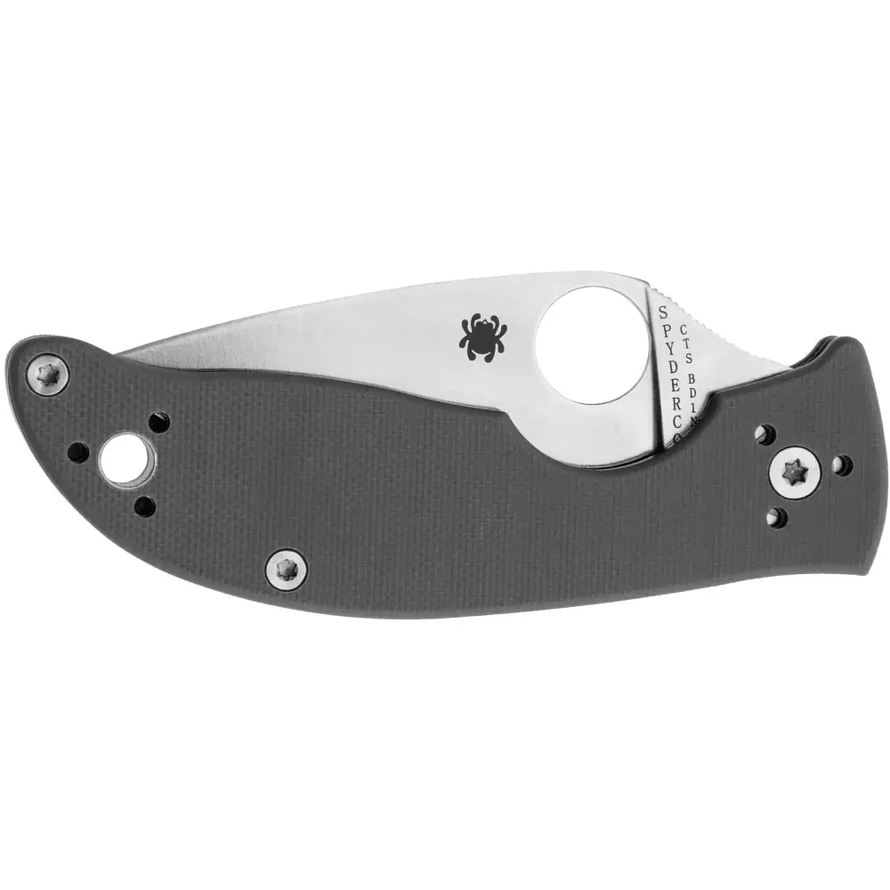Ніж Spyderco Alcyone G-10 Grey - фото 3
