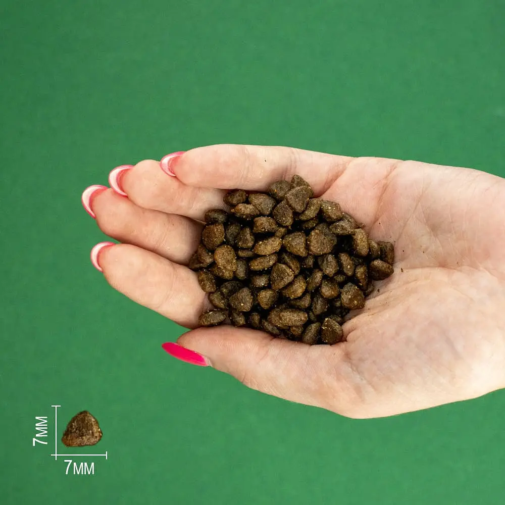 Сухий корм для цуценят малих порід Bravery Chicken Mini Puppy з куркою 600 г 04PE000600.0001.0032 - фото 2