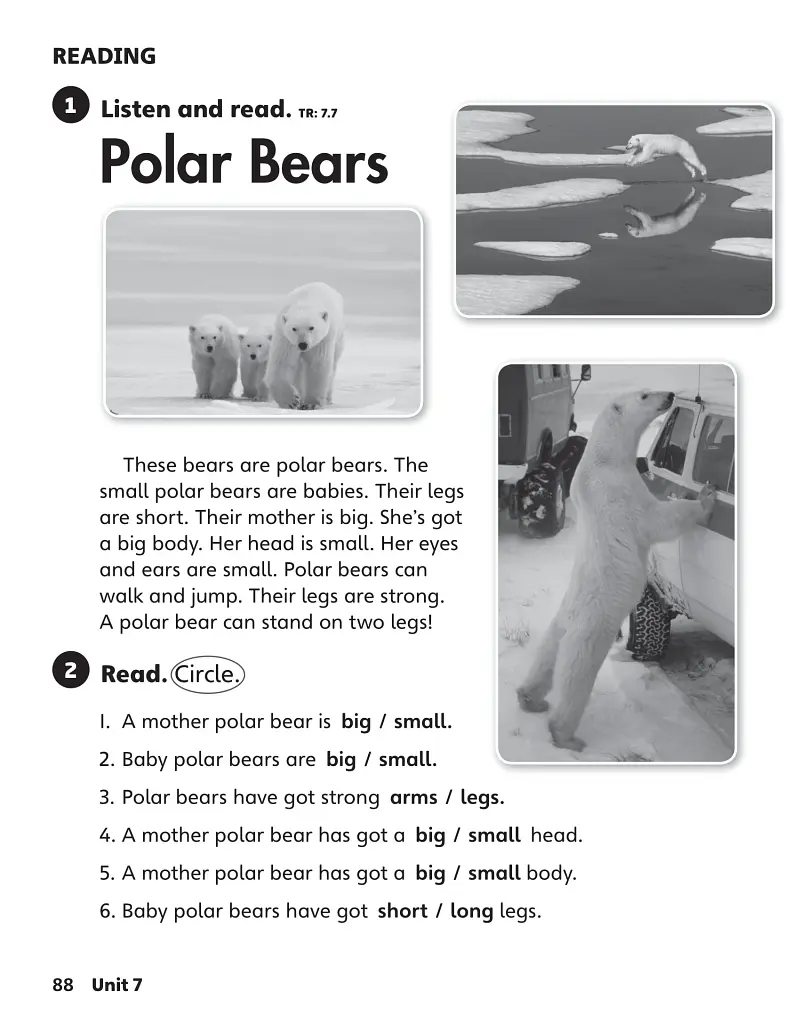 Our World. Starter Workbook - фото 10