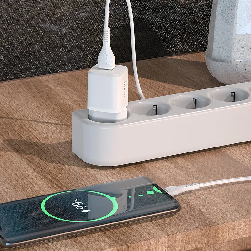 Комплект Адаптер мережевий HOCO Type-C Cable Briar dual port charger set N8 2USB білий - фото 4