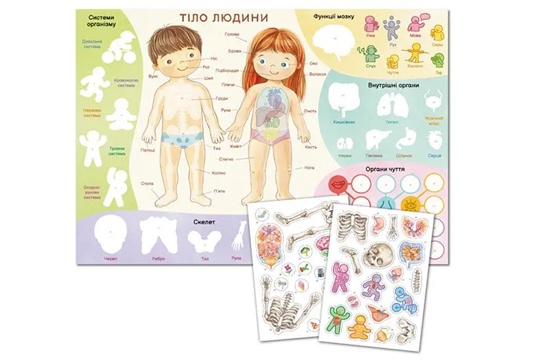 Навчальний постер з наклейками Тіло людини Dodo 300901 Різнокольоровий shop (4823115913456) - фото 3