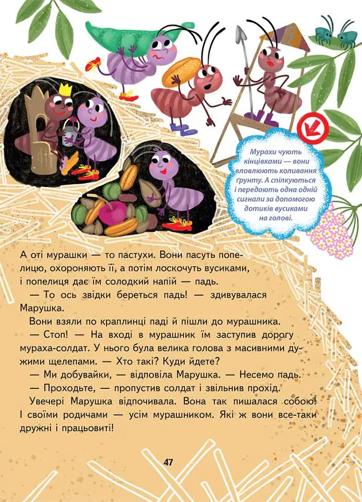 Малим дітям про все на світі. Енциклопедія в казках - Сашко Дерманський - фото 6