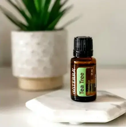 Ефірна олія чайного дерева doTERRA Tea Tree, 15 мл - фото 4