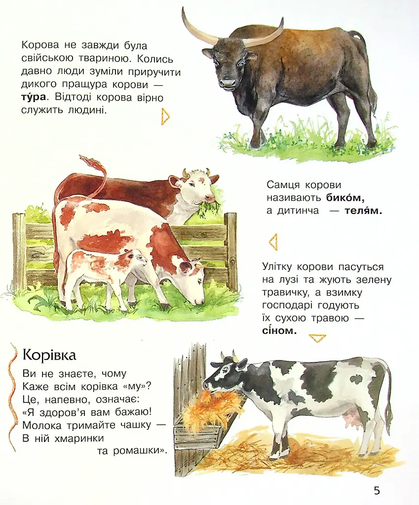 Енциклопедія дошкільника: Свійські тварини - фото 5