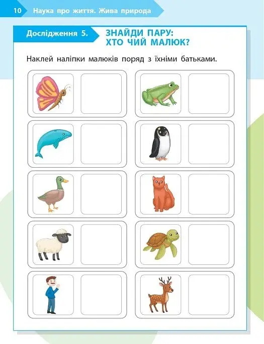 STEM-Старт. Зошит для учня. Наука про життя. 1 клас - фото 5