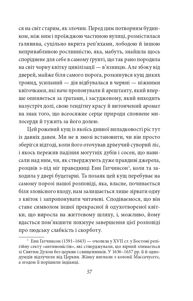 Багряна літера - Натанієль Готорн - фото 5