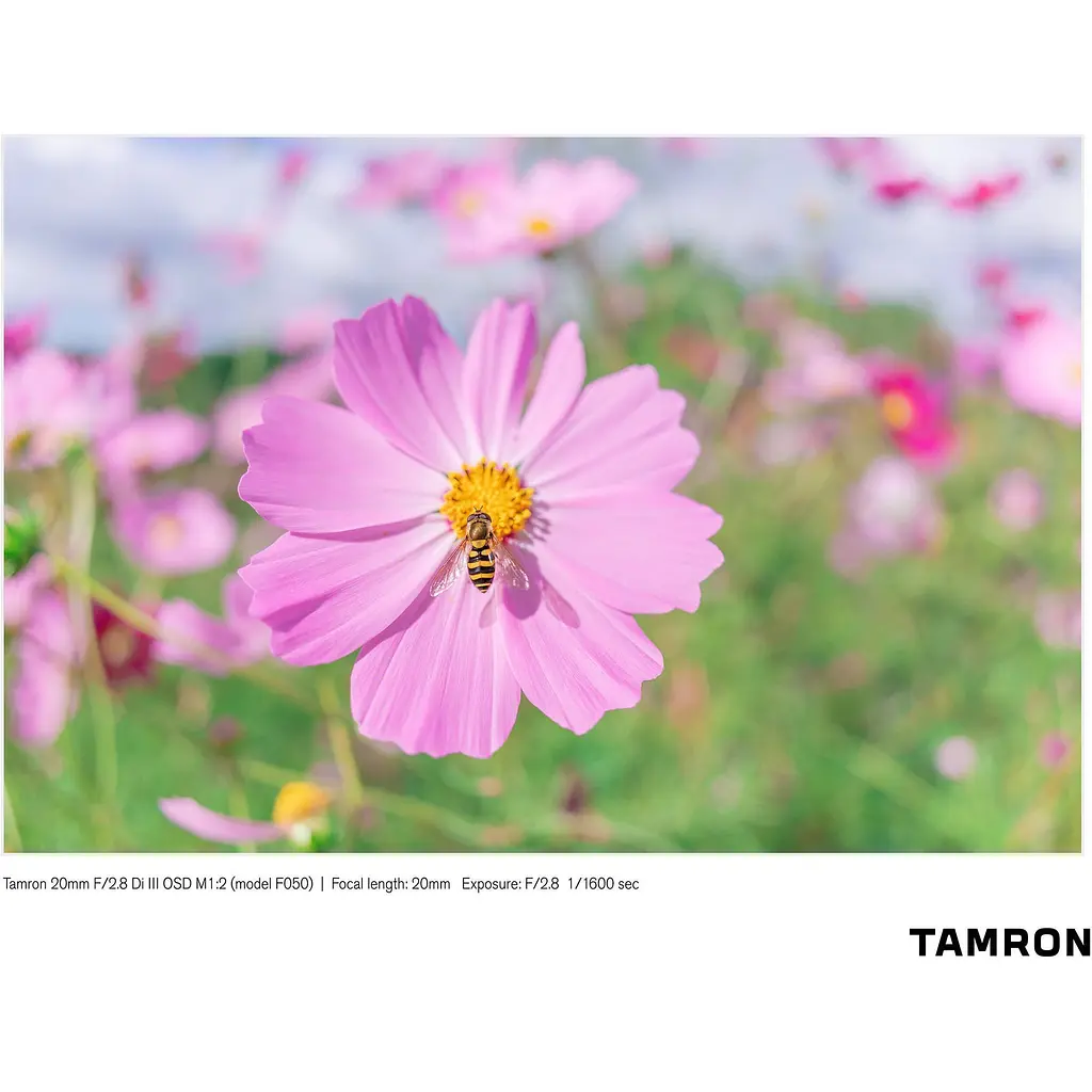 Об'єктив Tamron AF 20mm F/2.8 Di III OSD M1:2 Sony E (F050SF) - фото 20
