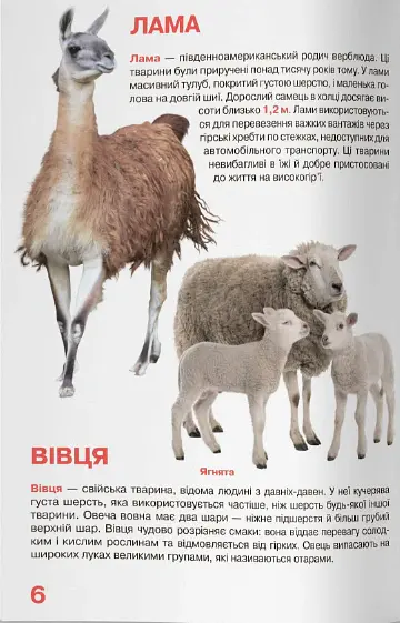 Велика книжка. Свійські тварини - - фото 3