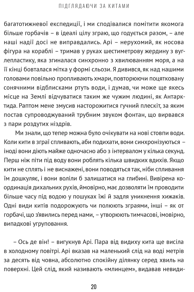 Підглядаючи за китами. Минуле, сьогодення та майбутнє найбільших у світі тварин - Нік Пайєнсон - фото 7