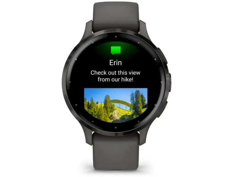 Смарт-годинник Garmin Venu 3S Slate S. Steel Bezel w. Pebble Gray Case and S. Band (010-02785-00) - фото 2